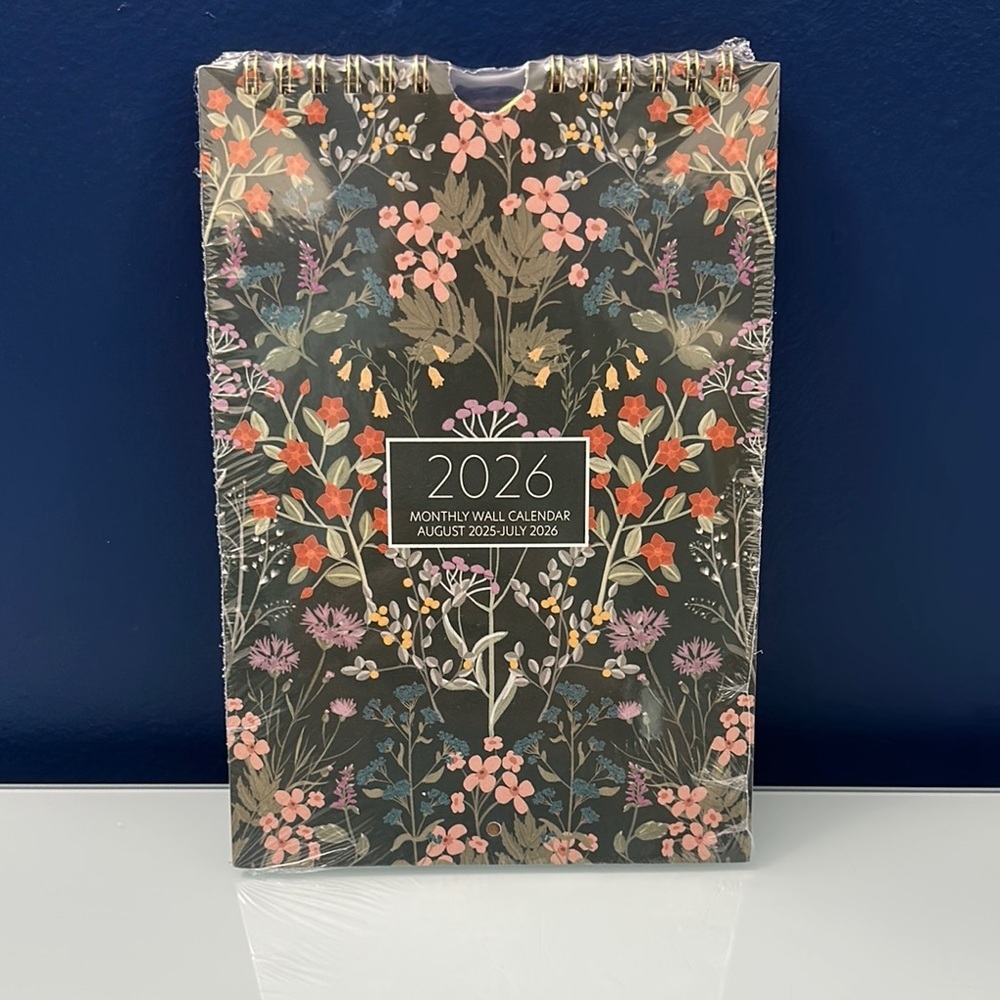 NWT Lady Jayne Small 2026 Monthly Wall Calendar